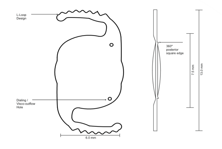Large Display Image