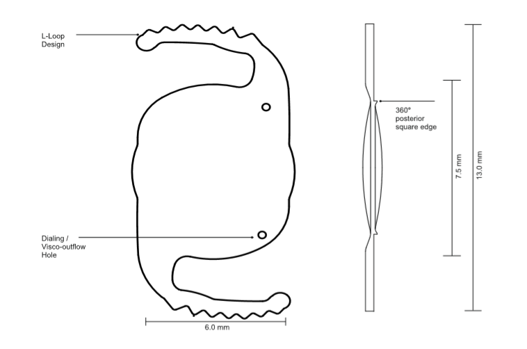 Large Display Image